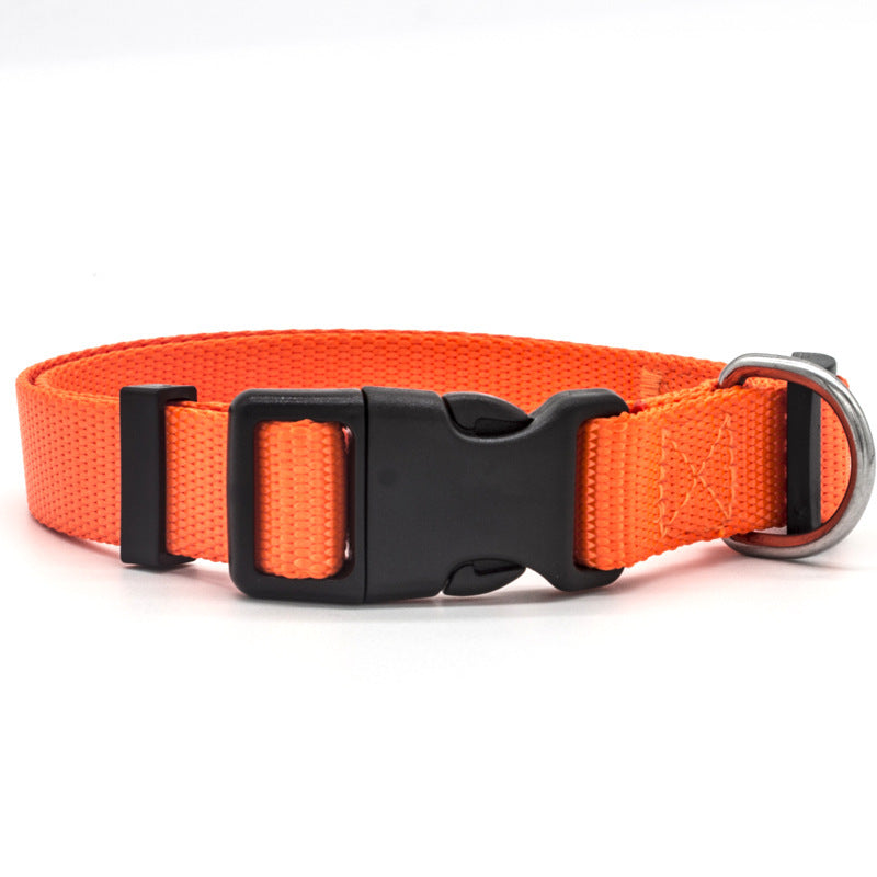 Nylon Pet Collar