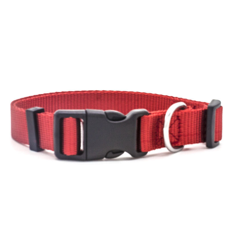 Nylon Pet Collar